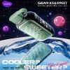 EU-Lager VOZOL Gear Ice & Sweet 50000Puffs 30 ml Einweg-E-Zigarette Vape Großhandel – [VapzVape]