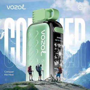 EU-Lager VOZOL Gear Ice & Sweet 50000Puffs 30 ml Einweg-E-Zigarette Vape Großhandel – [VapzVape]