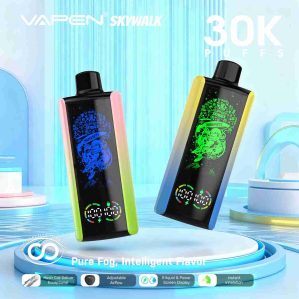 EU Warehouse VAPEN SKYWALK 30000 Puffs Disposable Vape Wholesale - [VapzVape]
