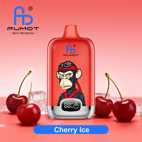 Fumot RandM Digital box 12000 Puffs - 图片 4