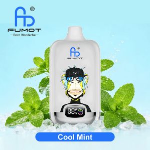 Fumot RandM Digital box 12000 Puffs - 图片 5