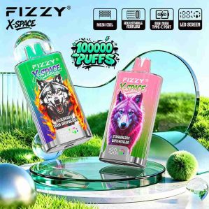 EU Warehouse FIZZY X-SPACE 100K Puffs Disposable Vape Wholesale - [VapzVape]