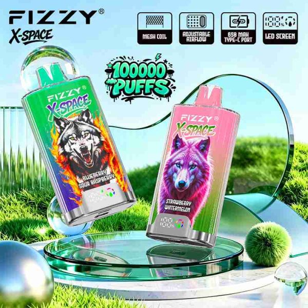 EU Warehouse FIZZY X-SPACE 100K Puffs Disposable Vape Wholesale - [VapzVape]