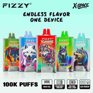 EU Warehouse FIZZY X-SPACE 100K Puffs Disposable Vape Wholesale - [VapzVape]