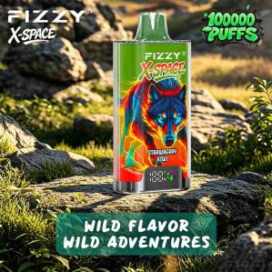 EU Warehouse FIZZY X-SPACE 100K Puffs Disposable Vape Wholesale - [VapzVape]