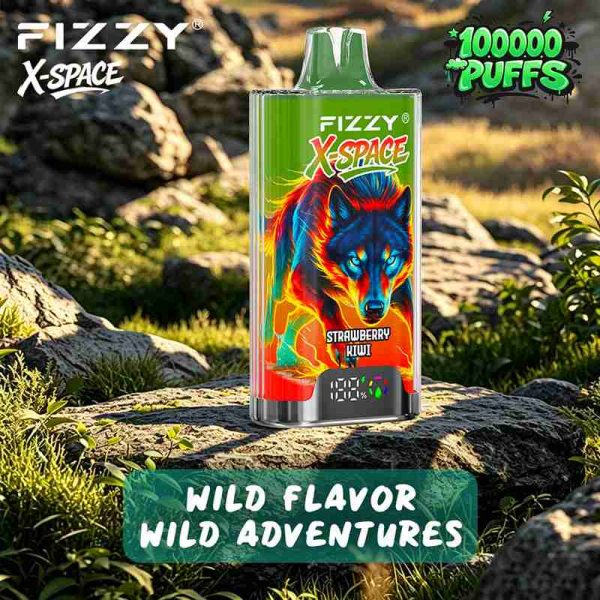 EU Warehouse FIZZY X-SPACE 100K Puffs Disposable Vape Wholesale - [VapzVape]