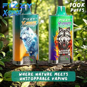 EU Warehouse FIZZY X-SPACE 100K Puffs Disposable Vape Wholesale - [VapzVape]