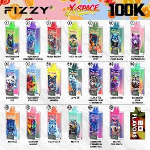 EU Warehouse FIZZY X-SPACE 100K Puffs Disposable Vape Wholesale - [VapzVape]