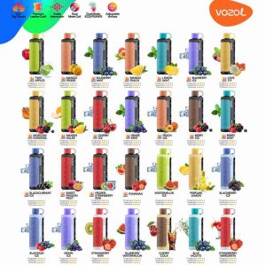 EU Warehouse VOZOL Gear Hookah 40000 Puffs Disposable Vape Wholesale - [VapzVape]