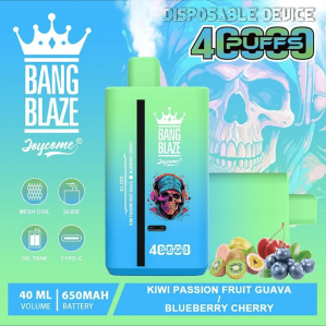 EU Warehouse BANG BLAZE 40000  Puffs 40ml Disposable Vape Wholesale - [VapzVape]
