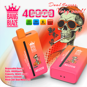 EU Warehouse BANG BLAZE 40000  Puffs 40ml Disposable Vape Wholesale - [VapzVape]