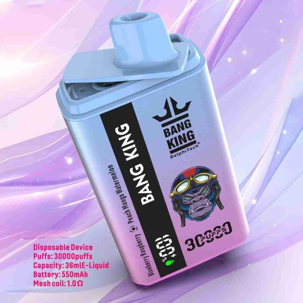 EU Warehouse BANG KING 30000Puffs DisposableVape Wholesale - [VapzVape]