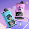 EU-Lager ETS Dual Galaxy 30000 Puffs Einweg Vape Großhandel – [VapzVape]