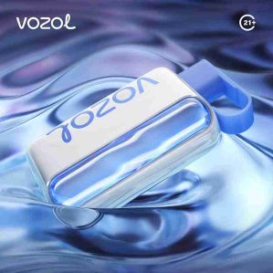 EU Warehouse VOZOL star 40000 Puffs 20ml Disposable Vape Wholesale - [VapzVape]