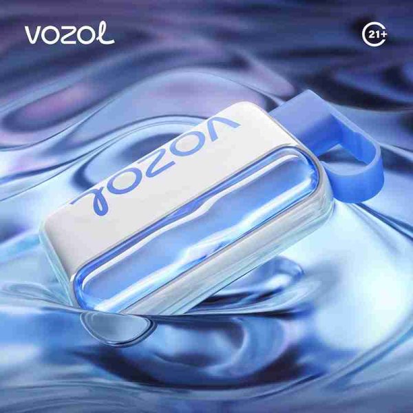 EU Warehouse VOZOL star 40000 Puffs 20ml Disposable Vape Wholesale - [VapzVape]