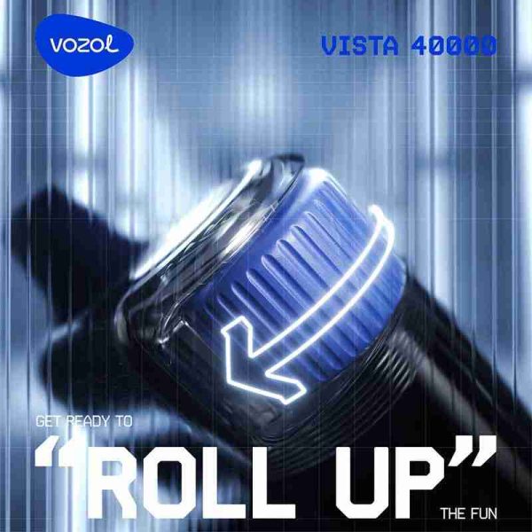 EU Warehouse Vozol Vista 40000 Puffs 20ml Disposable Vape Wholesale - [VapzVape]