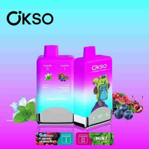 OKSO Double Flavors 60000 Puffs Einweg-E-Zigarette Vape Großhandel – [VapzVape]