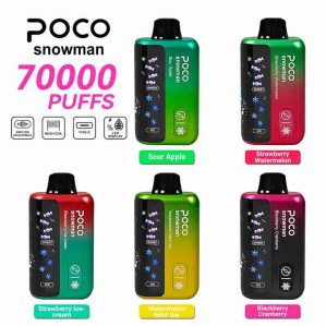 EU Warehouse POCO Snowman 70000 Puffs Disposable Vape Wholesale - [VapzVape]