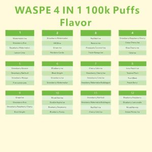 EU Warehouse WASPE 4 in 1 100k Puffs Disposable Vape Wholesale - [VapzVape]