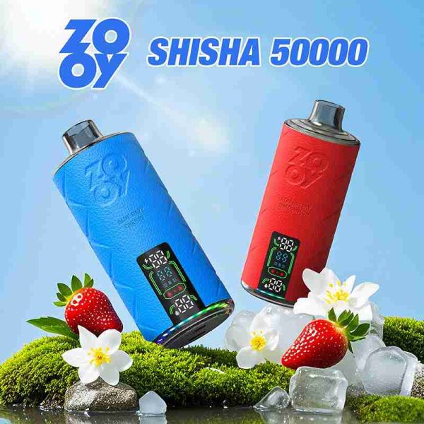 EU-Lager ZOOY Shisha 50000 Puffs Einweg Vape Großhandel – [VapzVape]