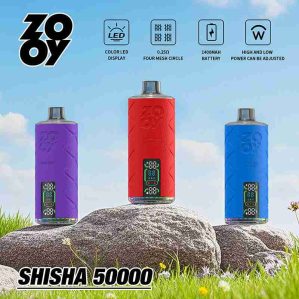 EU-Lager ZOOY Shisha 50000 Puffs Einweg Vape Großhandel – [VapzVape]