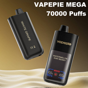 VAPEPIE MEGA 70000 Puffs – Bild 3