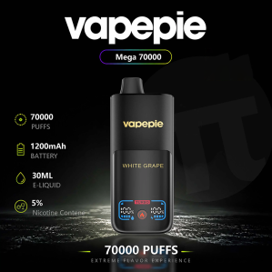VAPEPIE MEGA 70000 Puffs