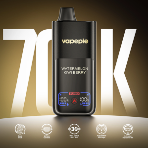 VAPEPIE MEGA 70000 Puffs – Bild 2